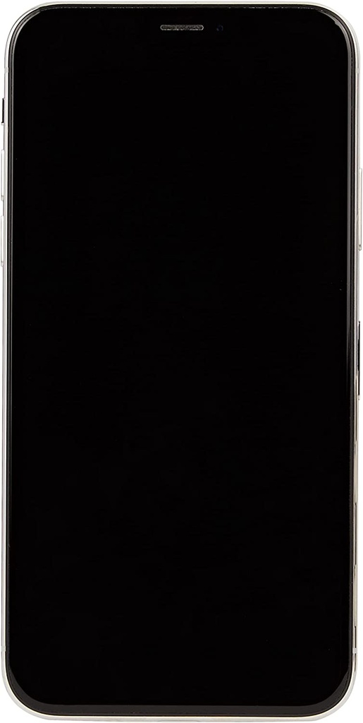 Apple iPhone X 64GB Silver [12]